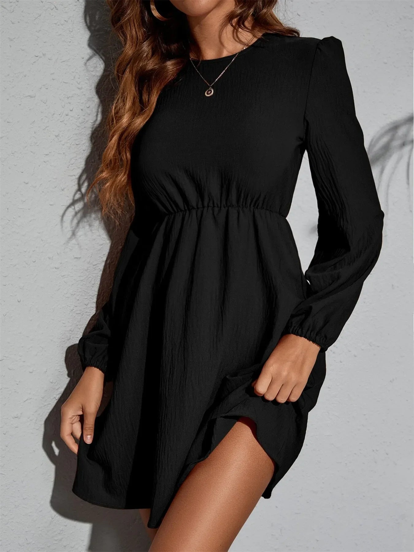Long Sleeve Casual Mini Dress