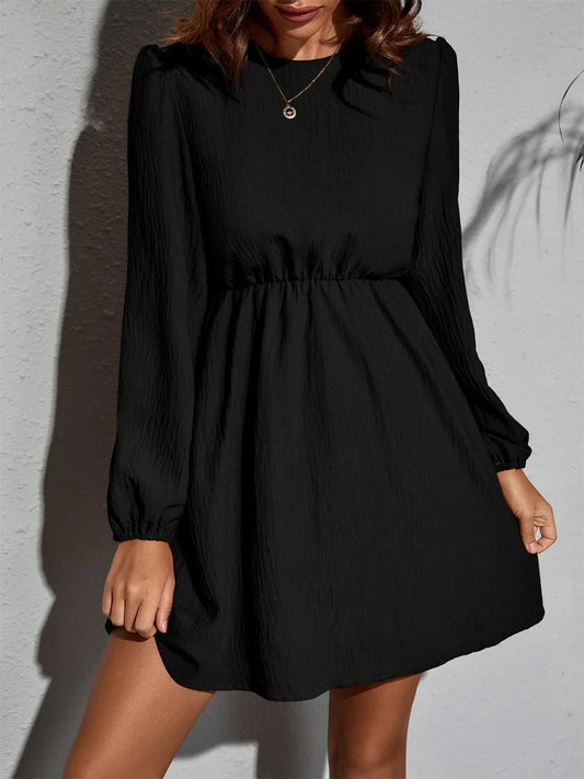 Long Sleeve Casual Mini Dress