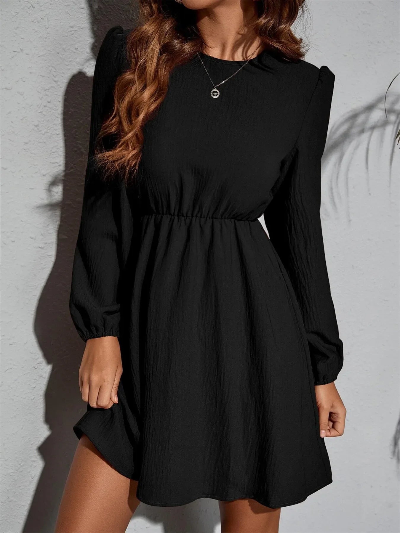 Long Sleeve Casual Mini Dress