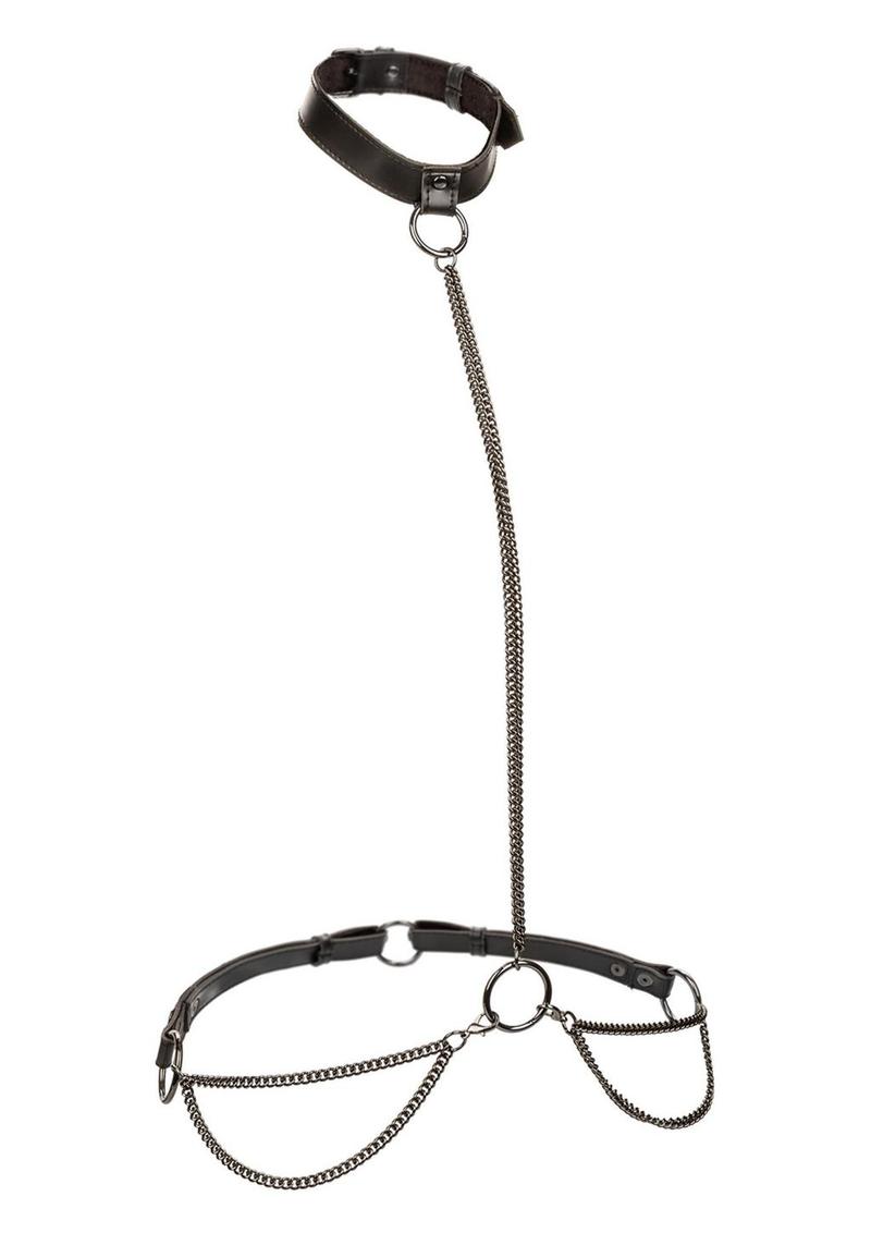 Euphoria Collection Plus Size Chain Halter Collar & Leash