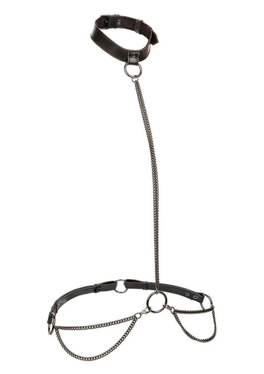 Euphoria Collection Plus Size Chain Halter Collar & Leash