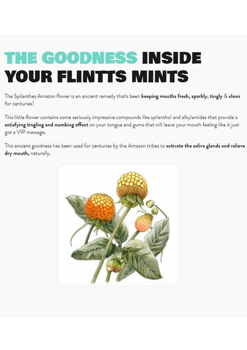 Flintts Mouth Watering Mints Cinnamon Ginger