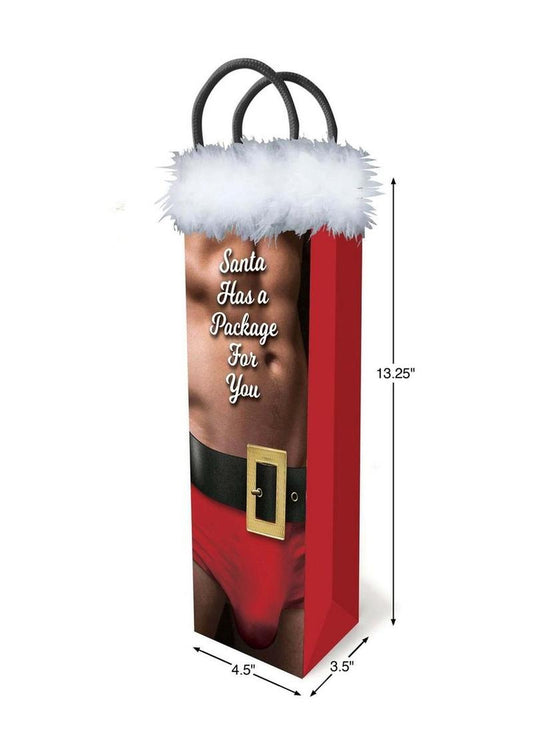 Santa Has a Package for You Gift Bag - Fun and Sexy Holiday Gift Wrap
